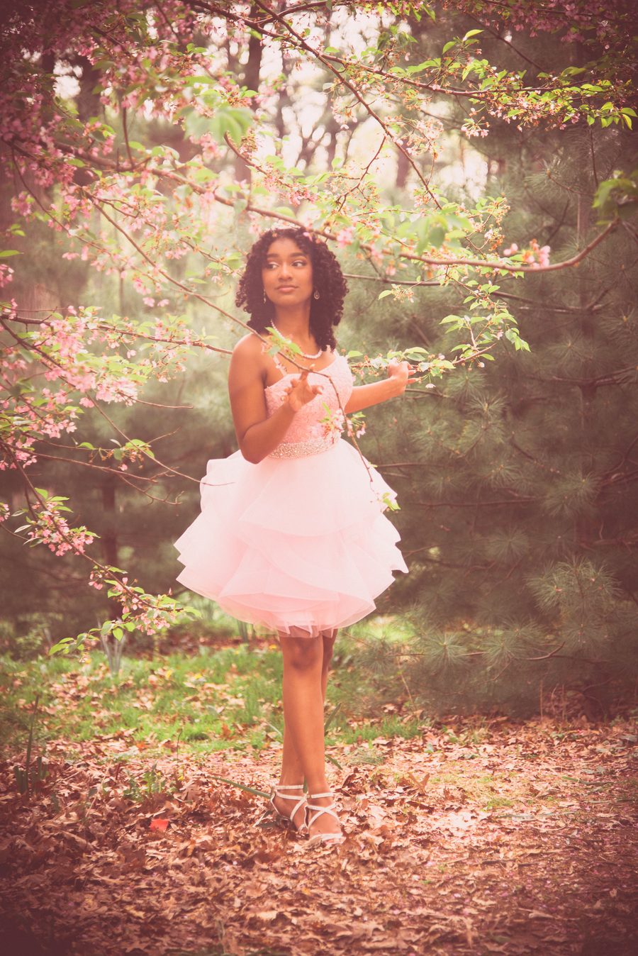 Sweet sixteen in a pink dress beneath cherry blossom branches